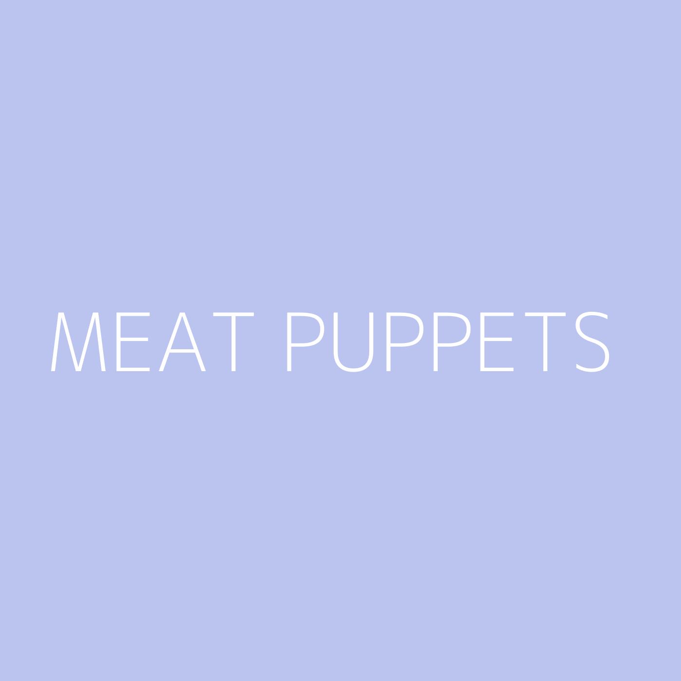 Meat Puppets Playlist Artwork