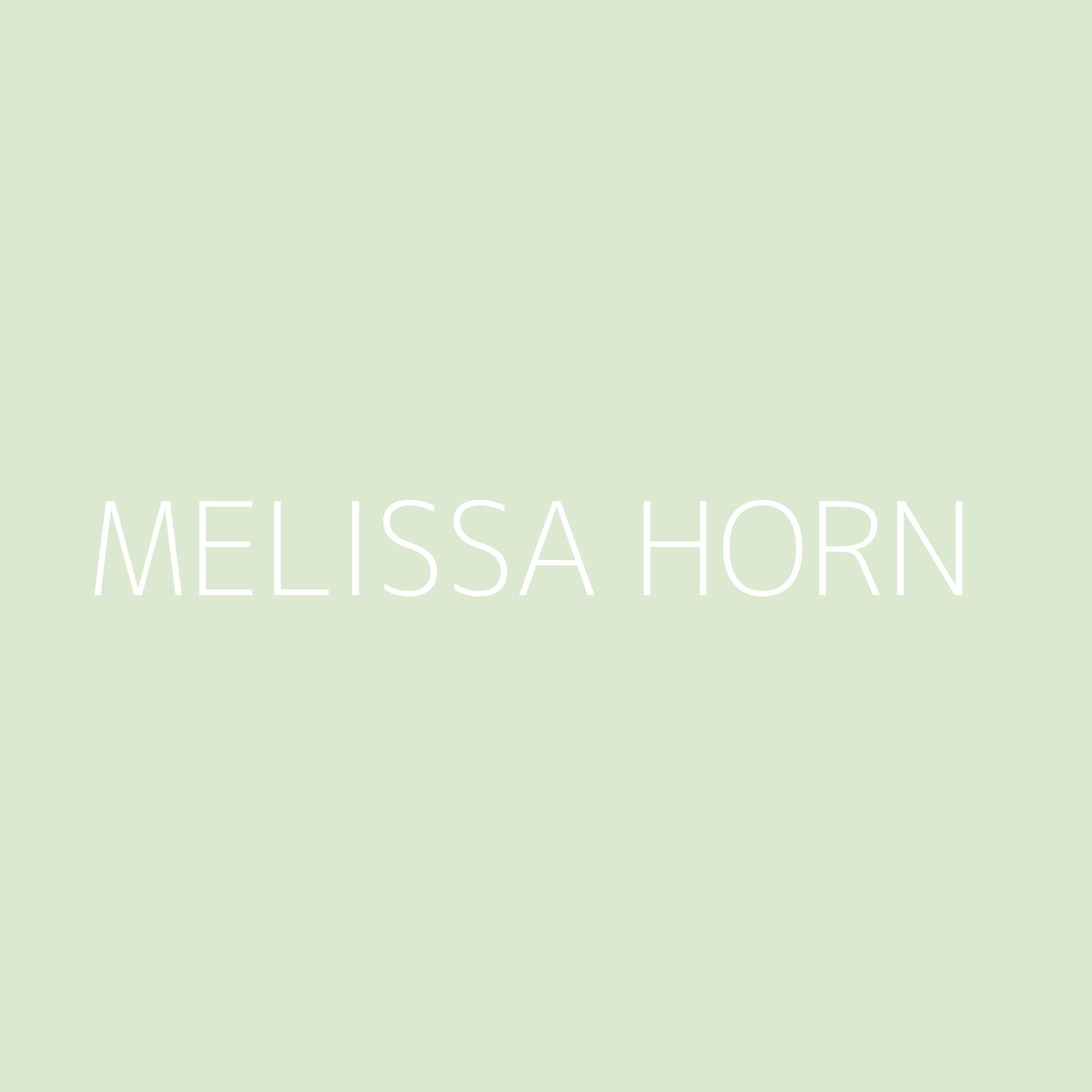 Melissa Horn Playlist Artwork
