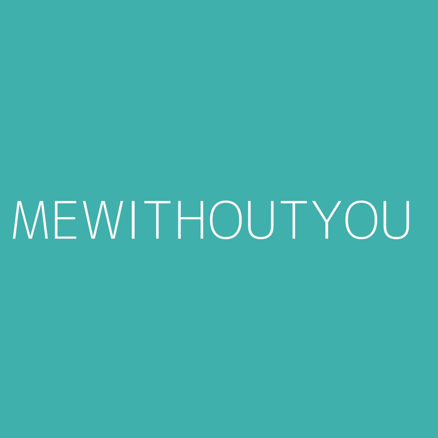 mewithoutYou Playlist Artwork