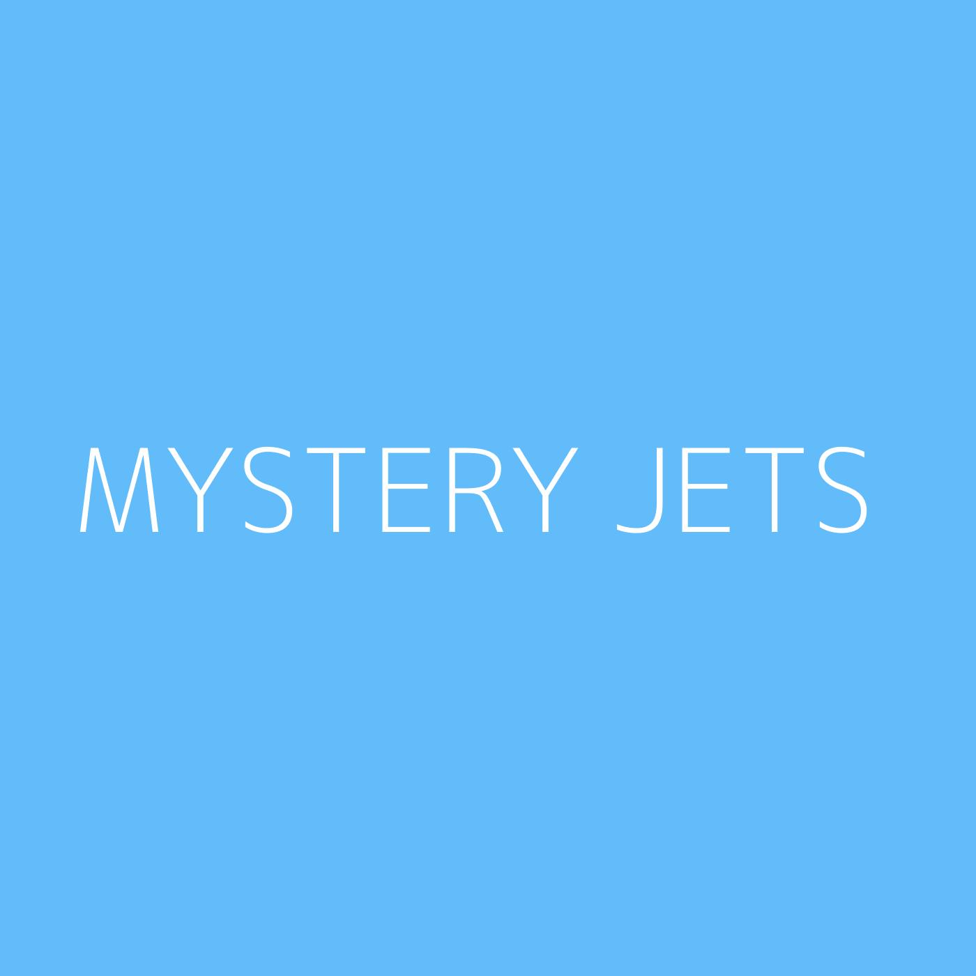 Mystery Jets Playlist Artwork