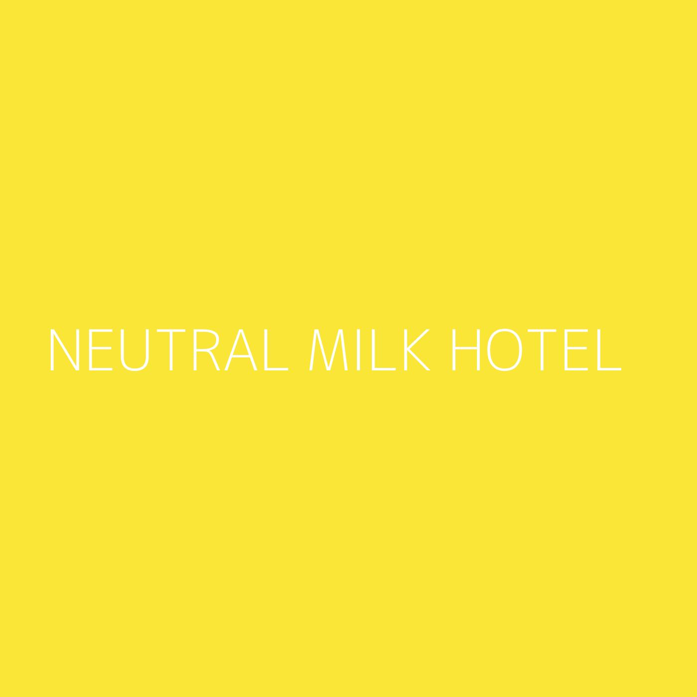 Neutral Milk Hotel Playlist Artwork