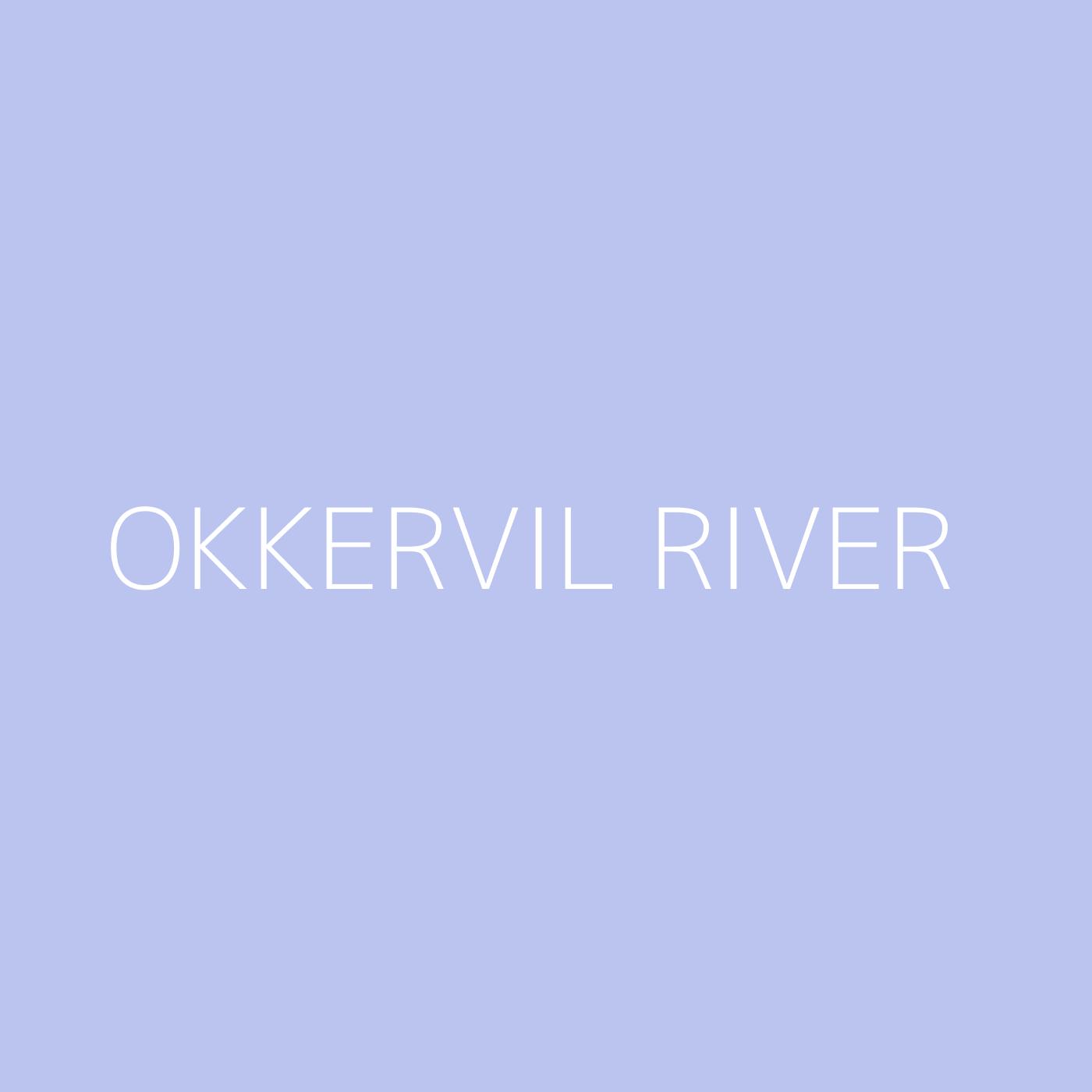 Okkervil River Playlist Artwork