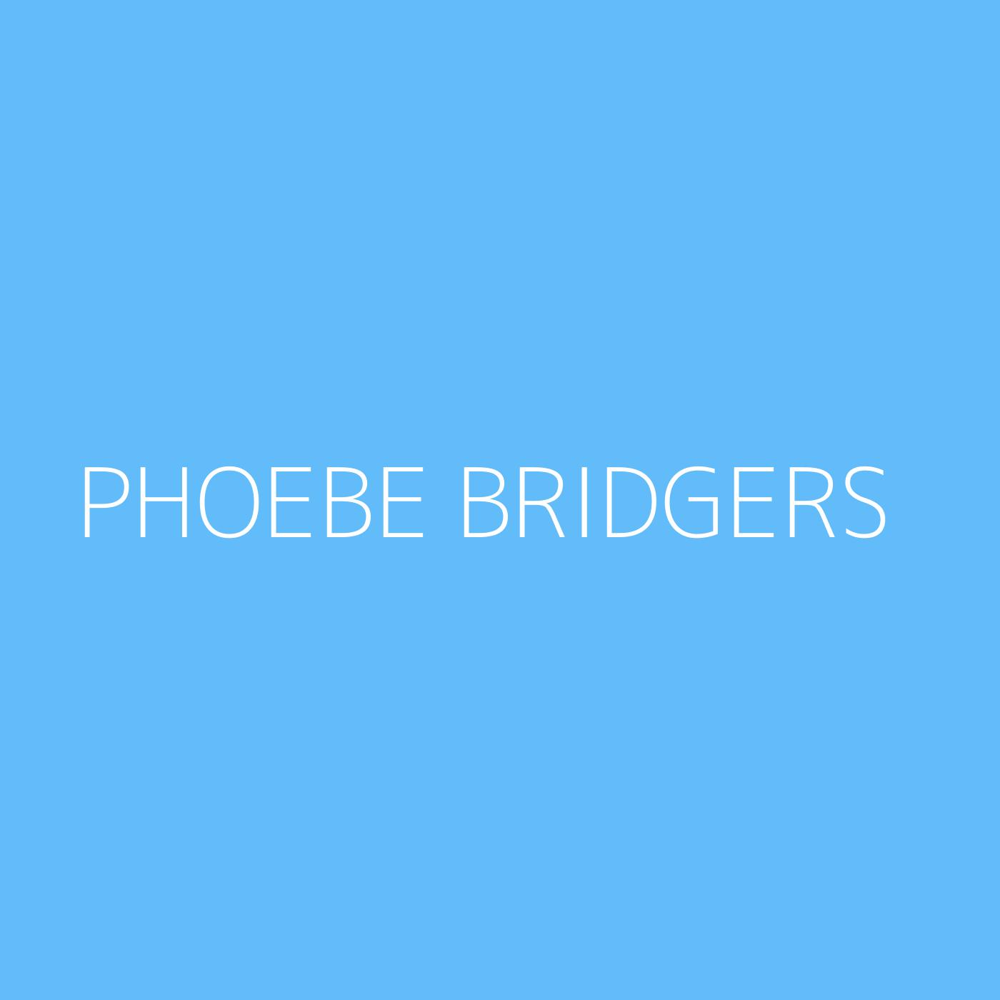 Phoebe Bridgers Playlist Artwork