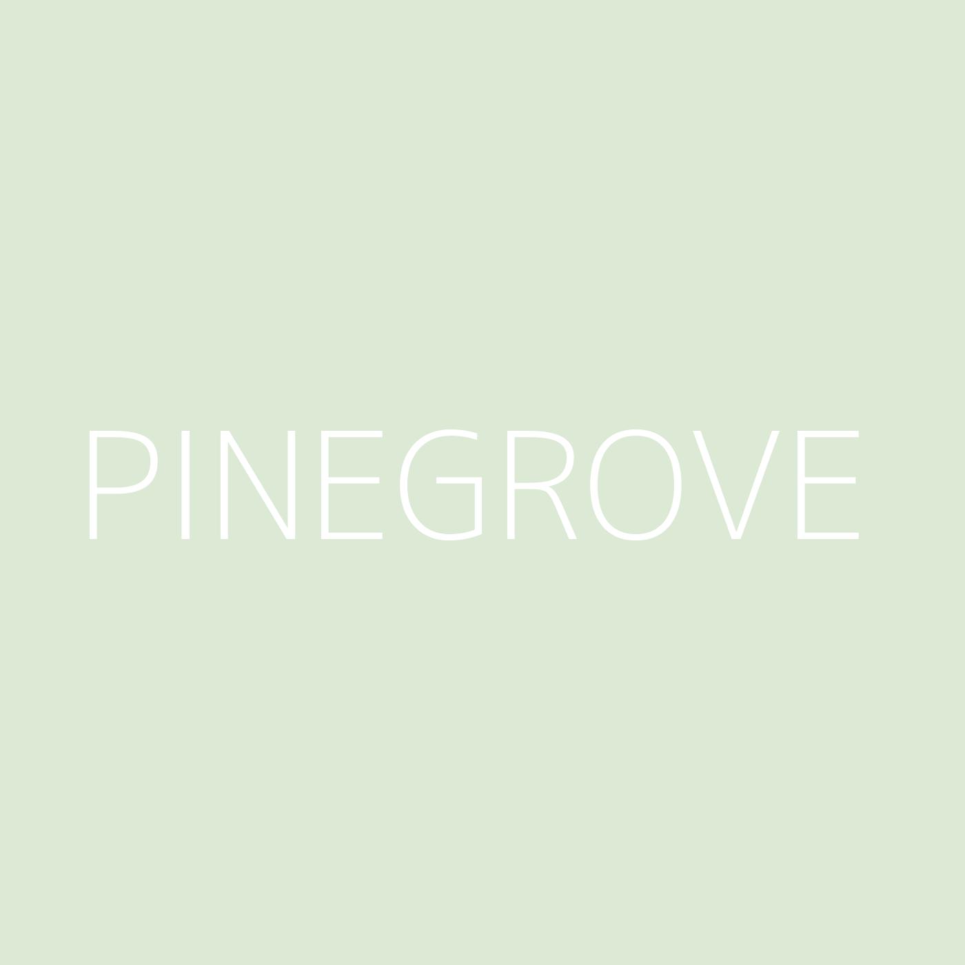 Pinegrove Playlist Artwork