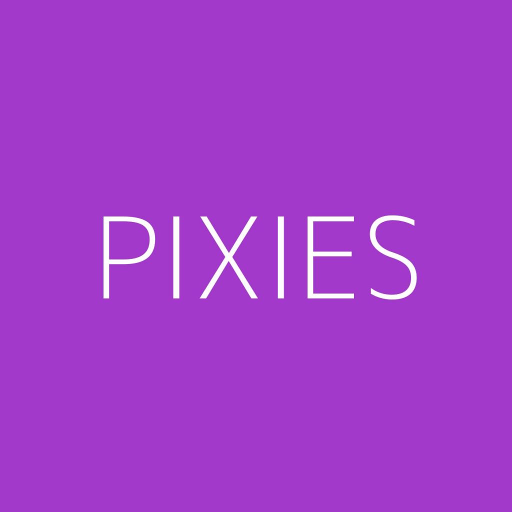 Pixies Playlist Most Popular Playlist Kolibri Music
