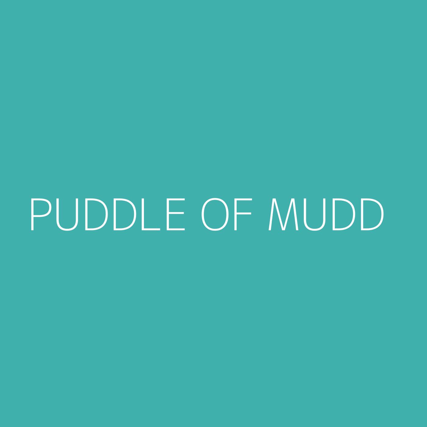 Puddle Of Mudd Playlist Artwork