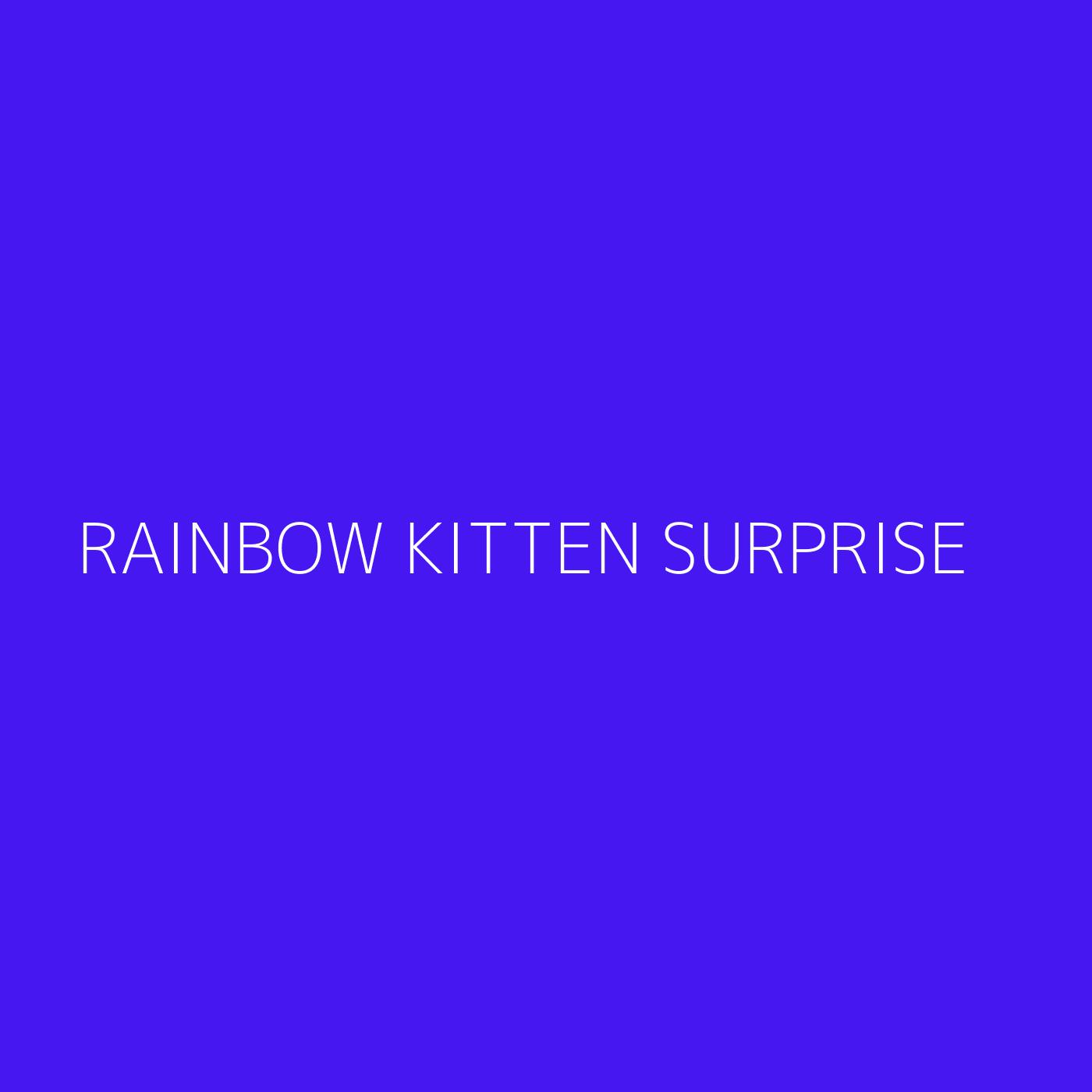 Rainbow Kitten Surprise Playlist Artwork