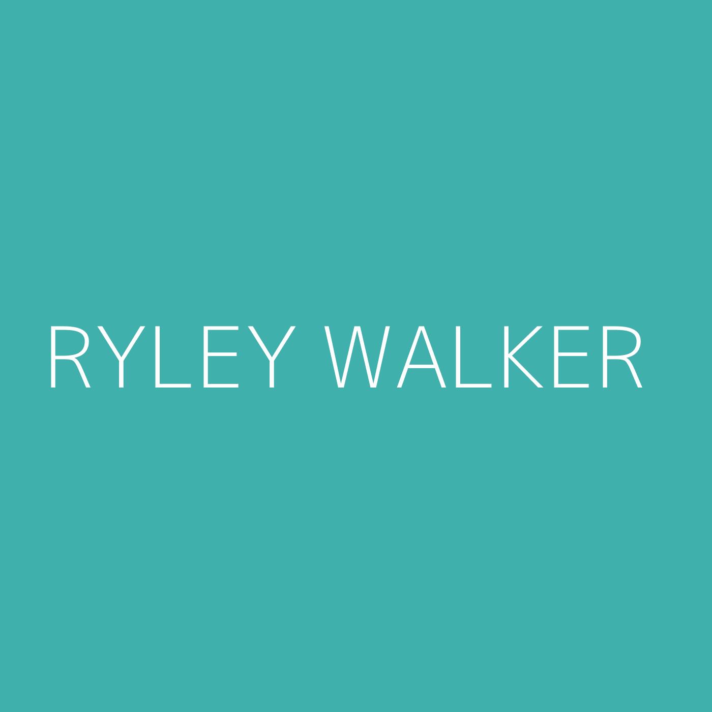 Ryley Walker Playlist Artwork