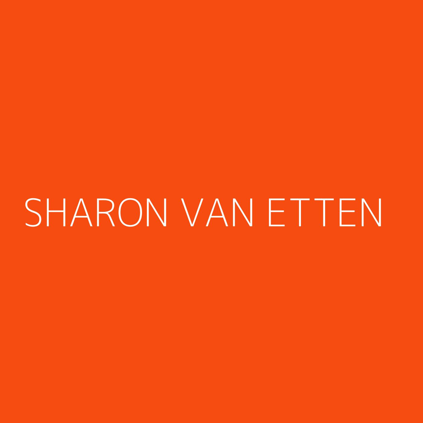 Sharon Van Etten Playlist Artwork