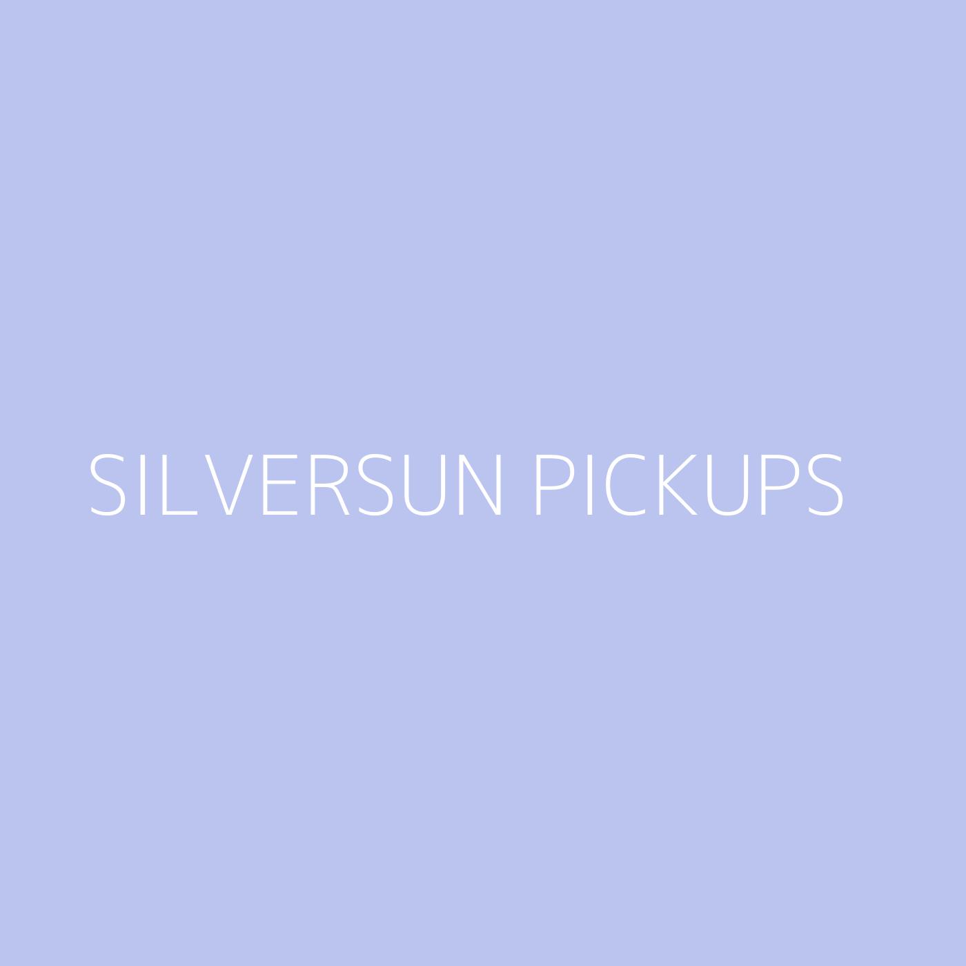 Silversun Pickups Playlist Artwork