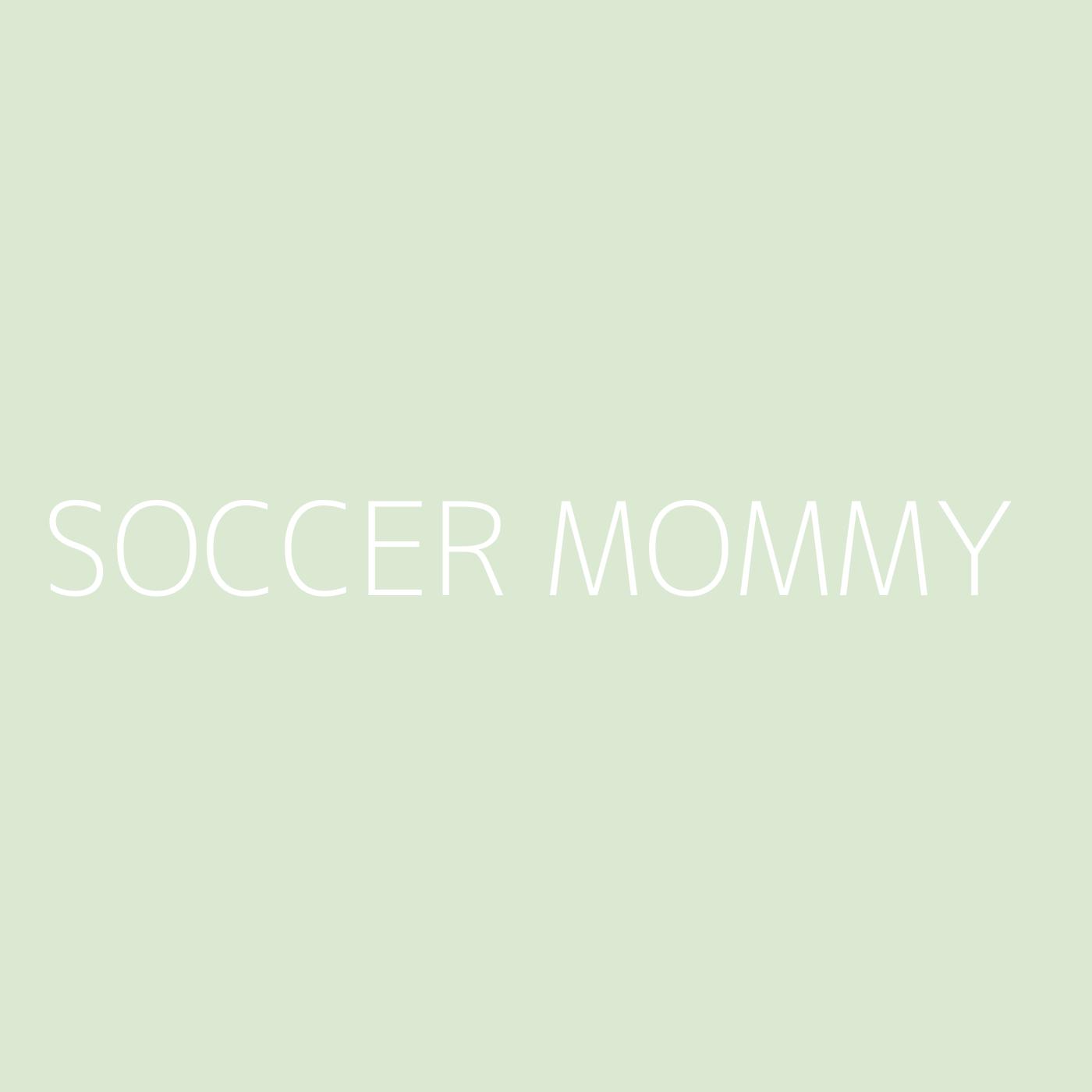 Soccer Mommy Playlist Artwork