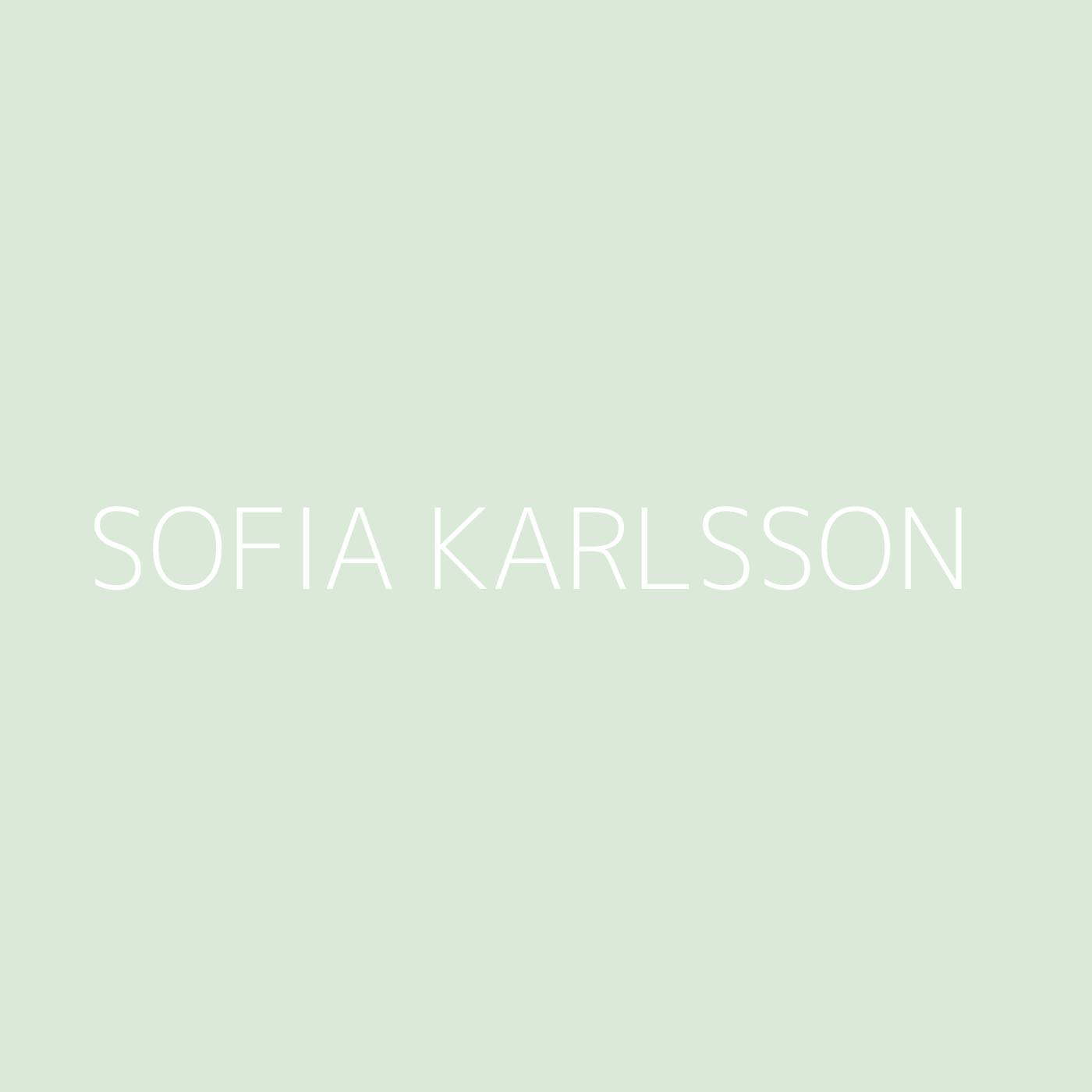 Sofia Karlsson Playlist Artwork