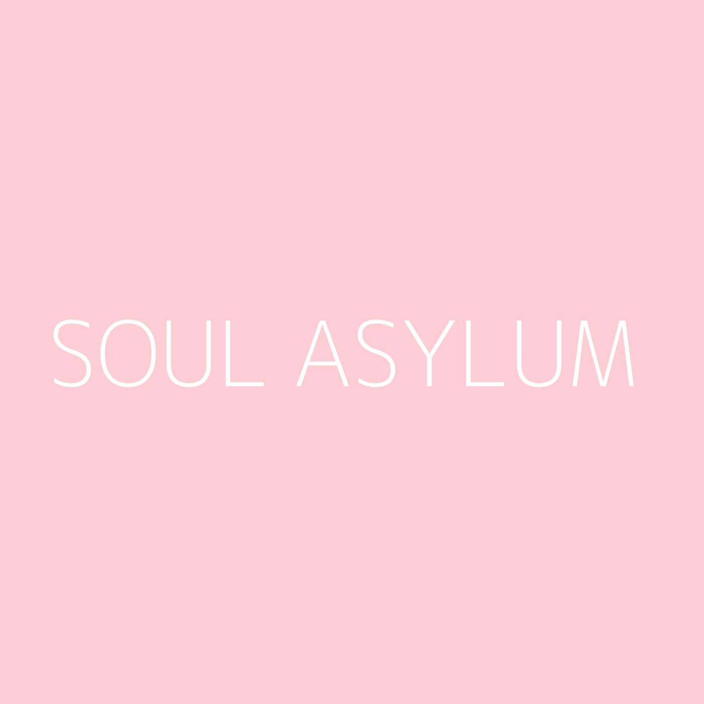 Soul Asylum Playlist Artwork