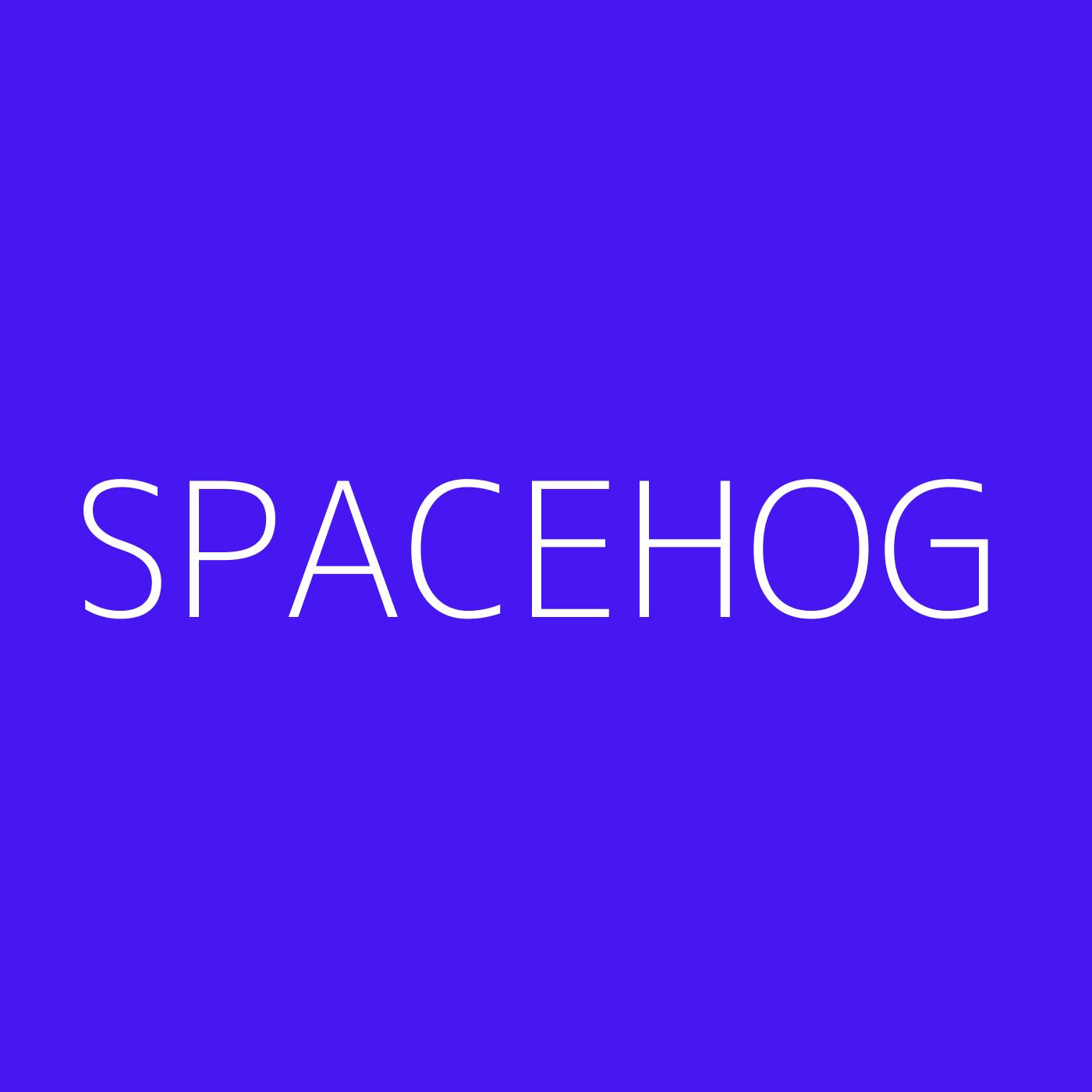 Spacehog Playlist Artwork