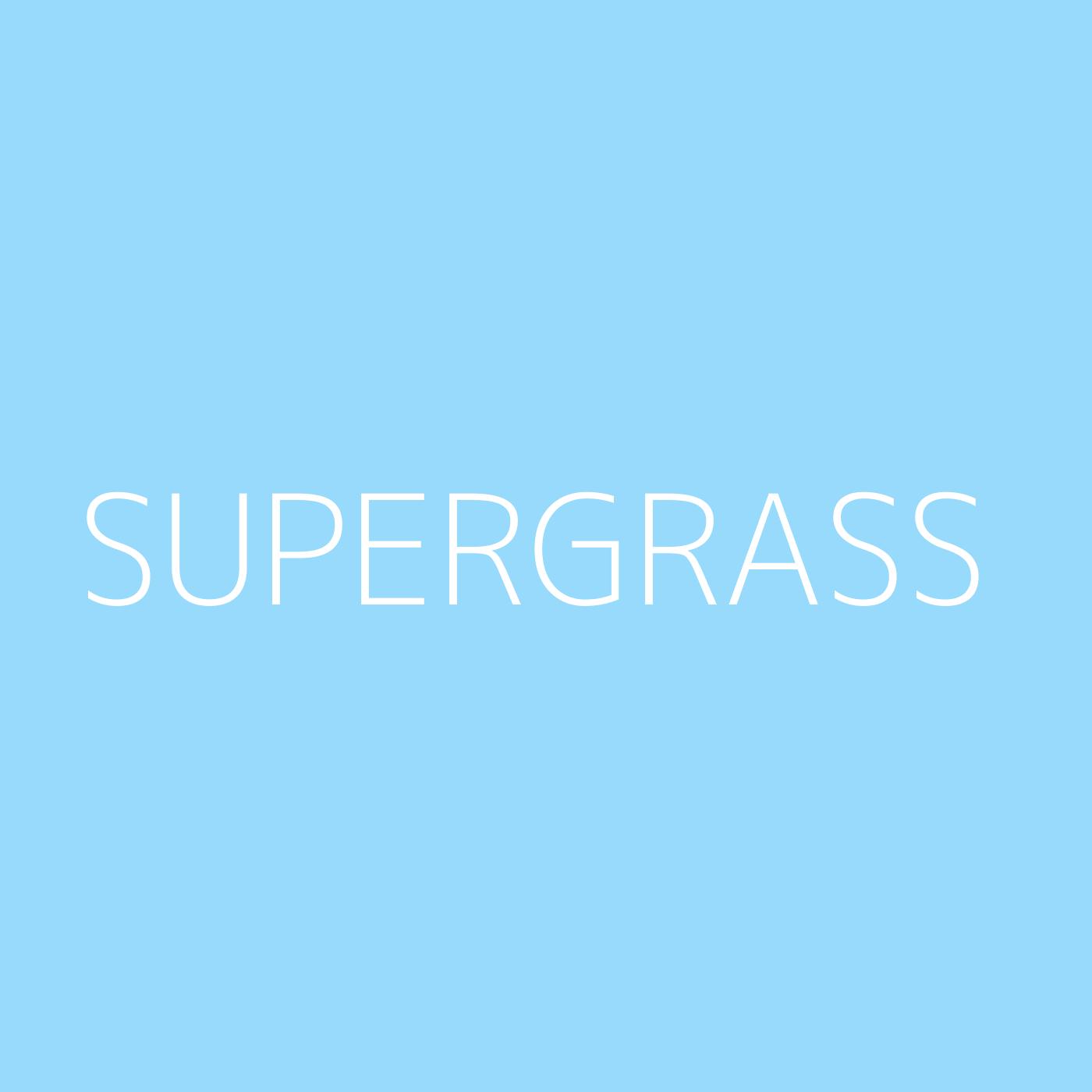 Supergrass Playlist Artwork