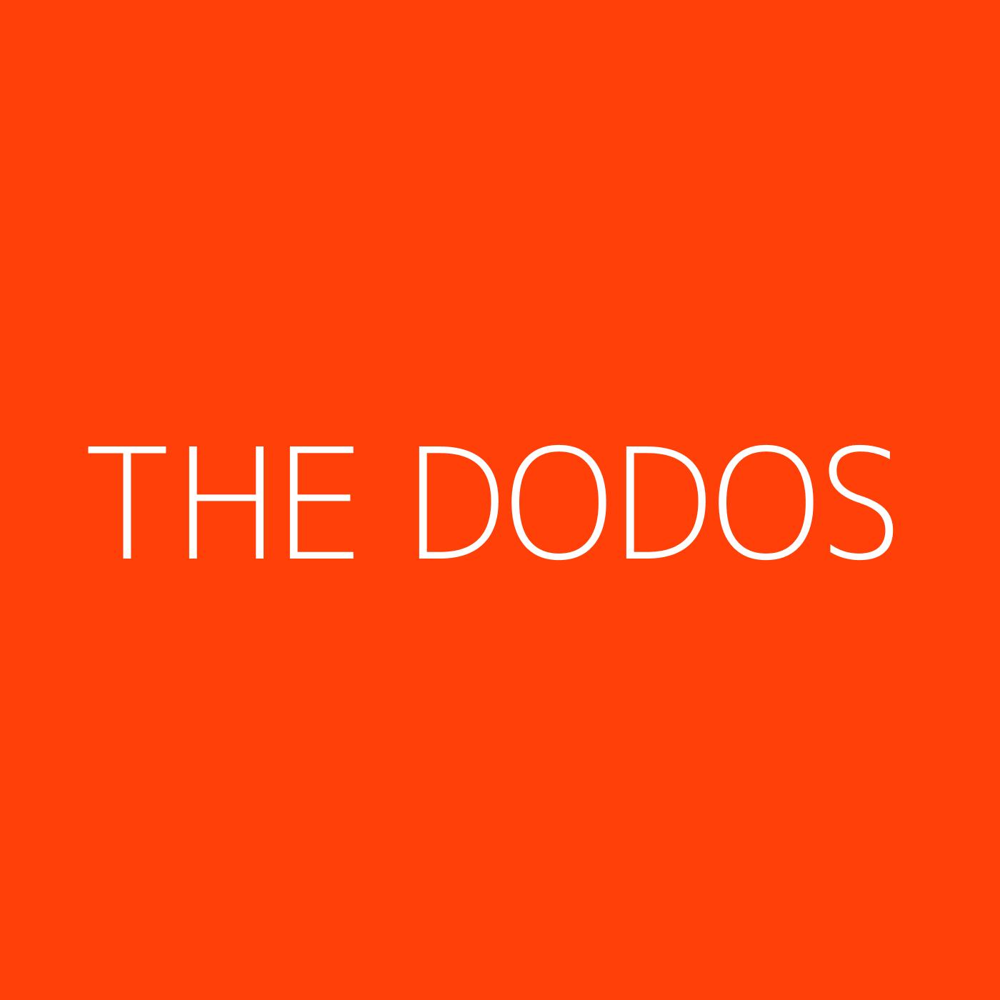 The Dodos Playlist Artwork