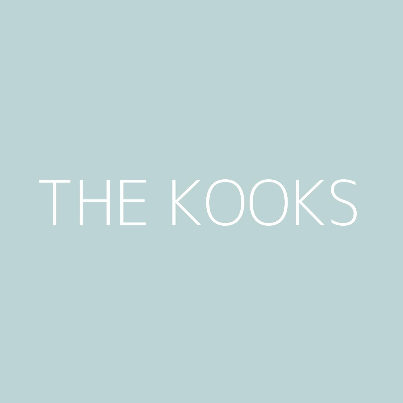 The Kooks Playlist Artwork