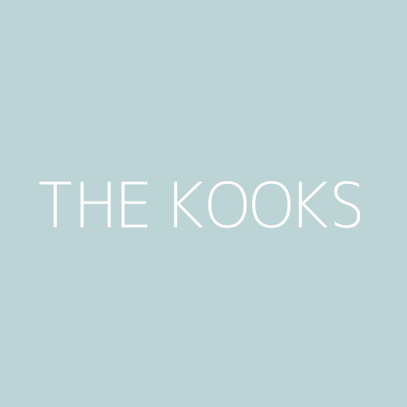 The Kooks Playlist Artwork