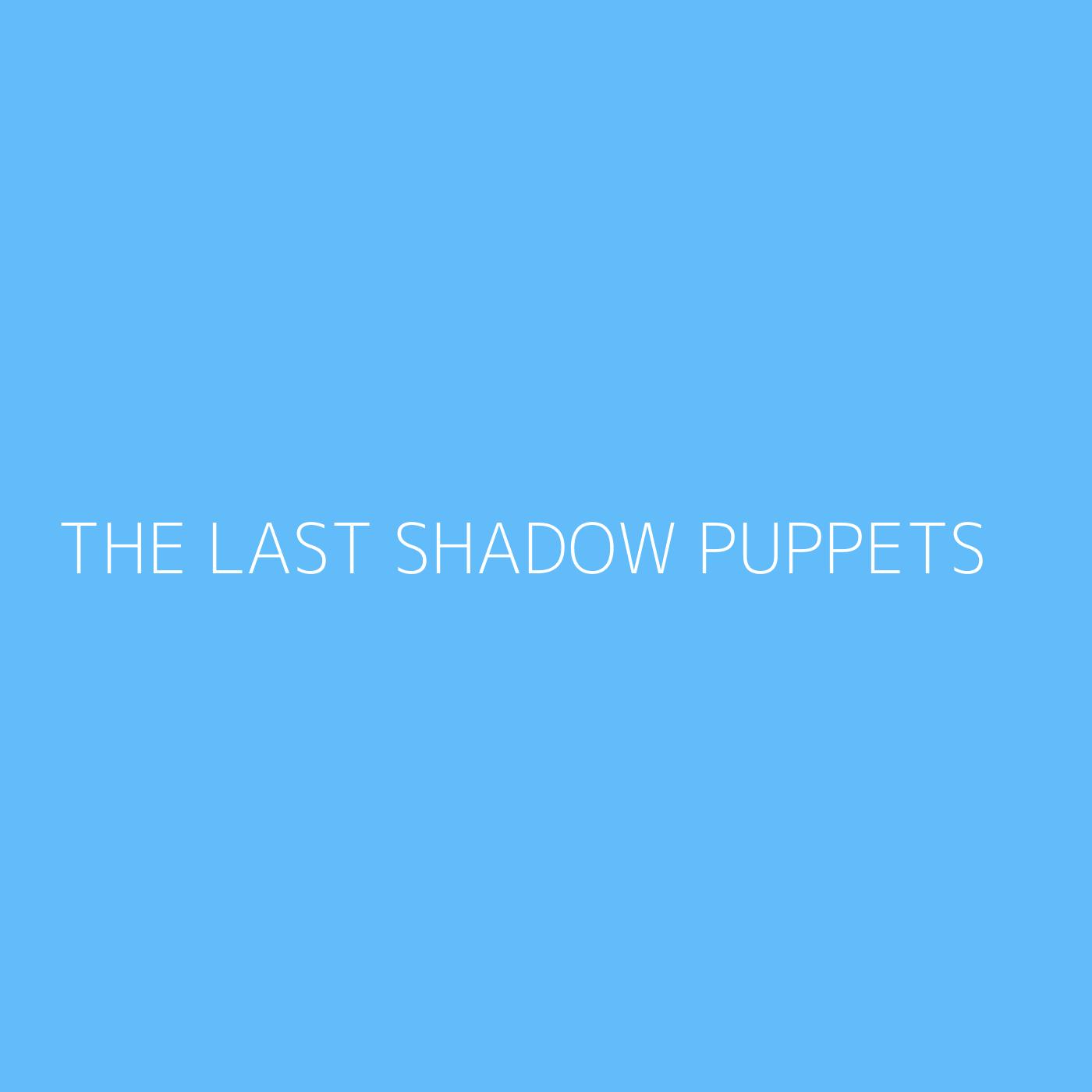 The Last Shadow Puppets Playlist Artwork