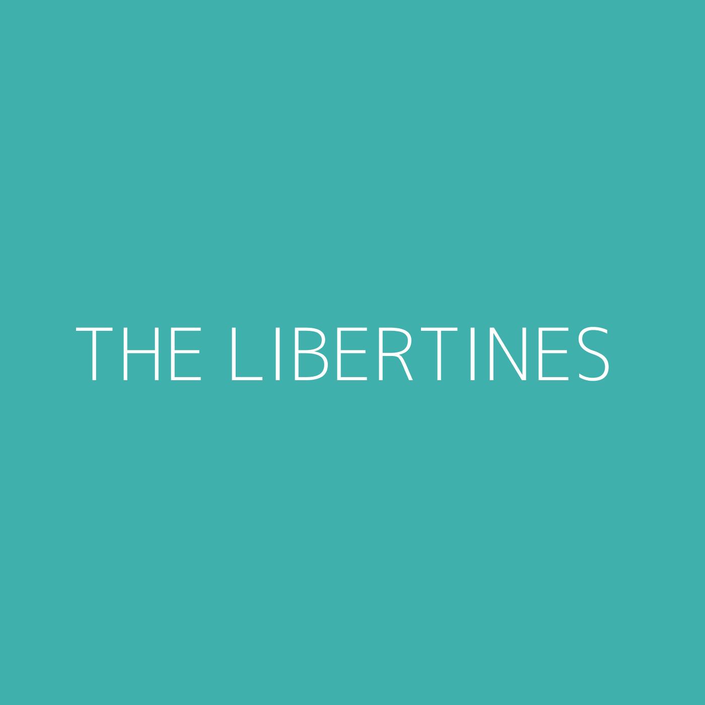 The Libertines Playlist Artwork