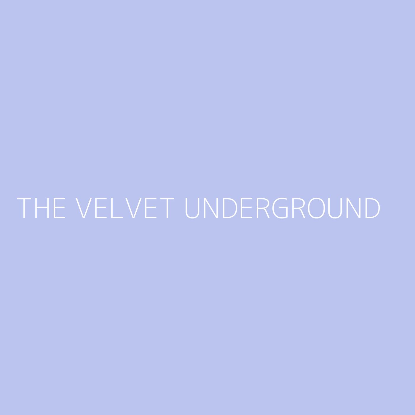 The Velvet Underground Playlist Artwork