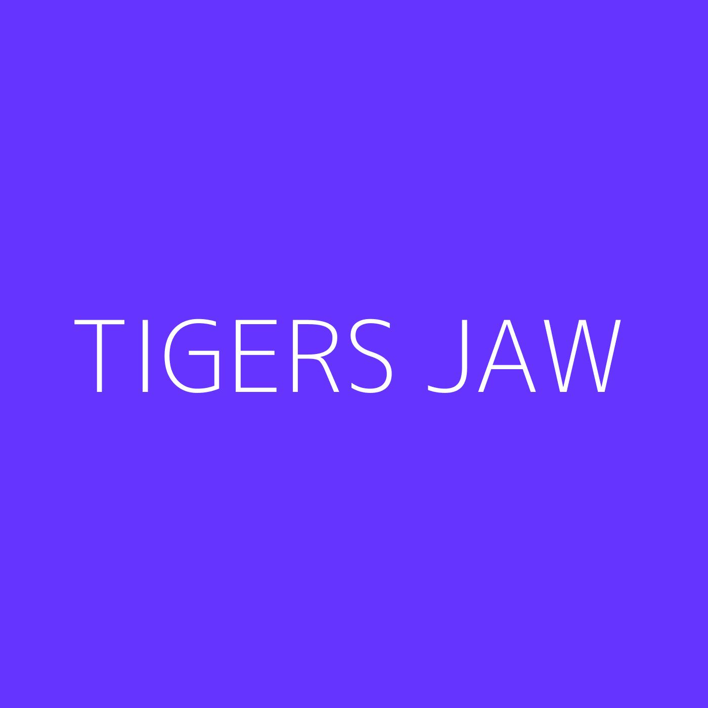 Tigers Jaw Playlist Artwork