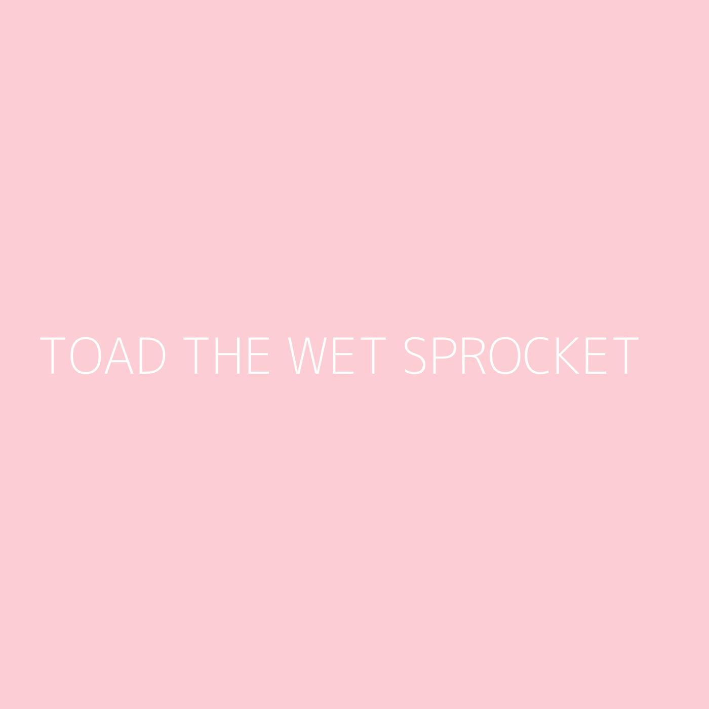 Toad The Wet Sprocket Playlist Artwork