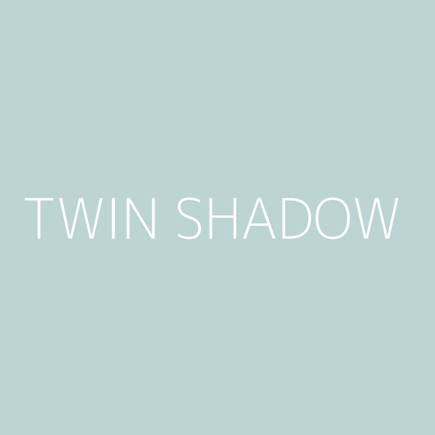 Twin Shadow Playlist Artwork