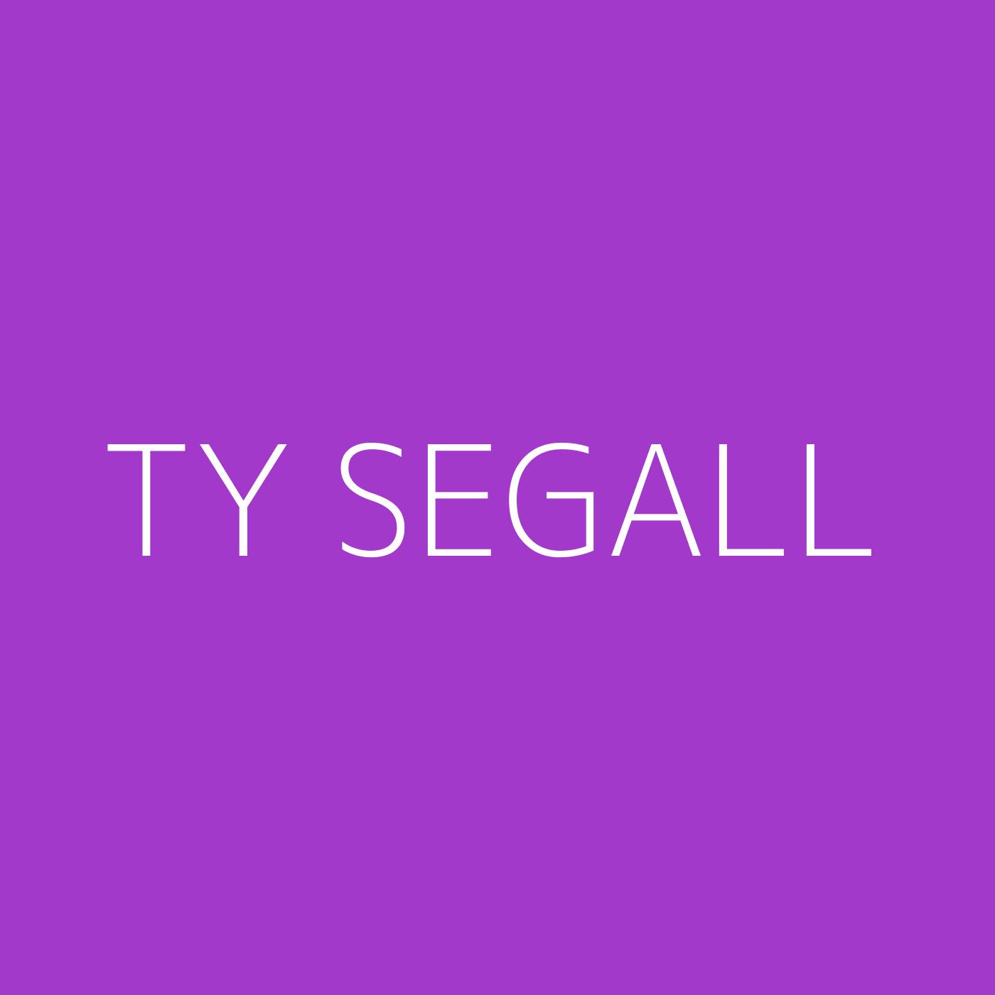 Ty Segall Playlist Artwork