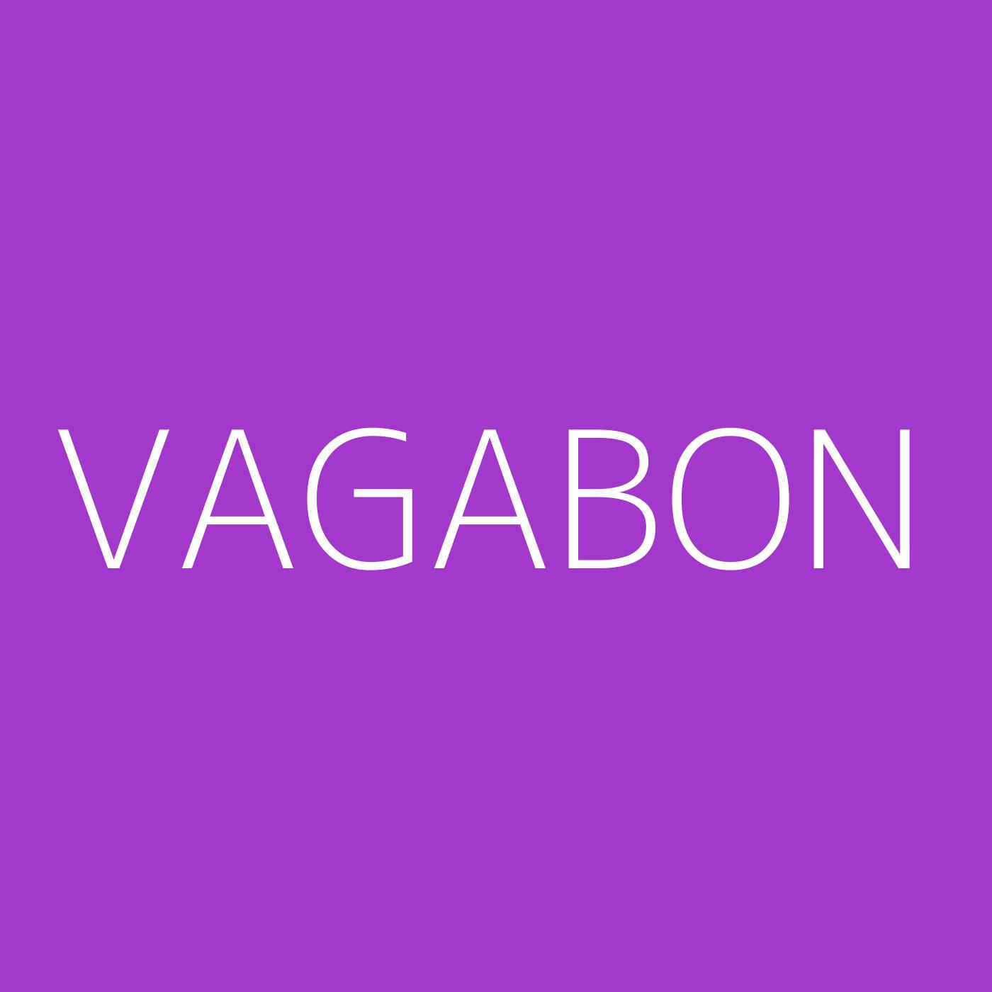 Vagabon Playlist Artwork