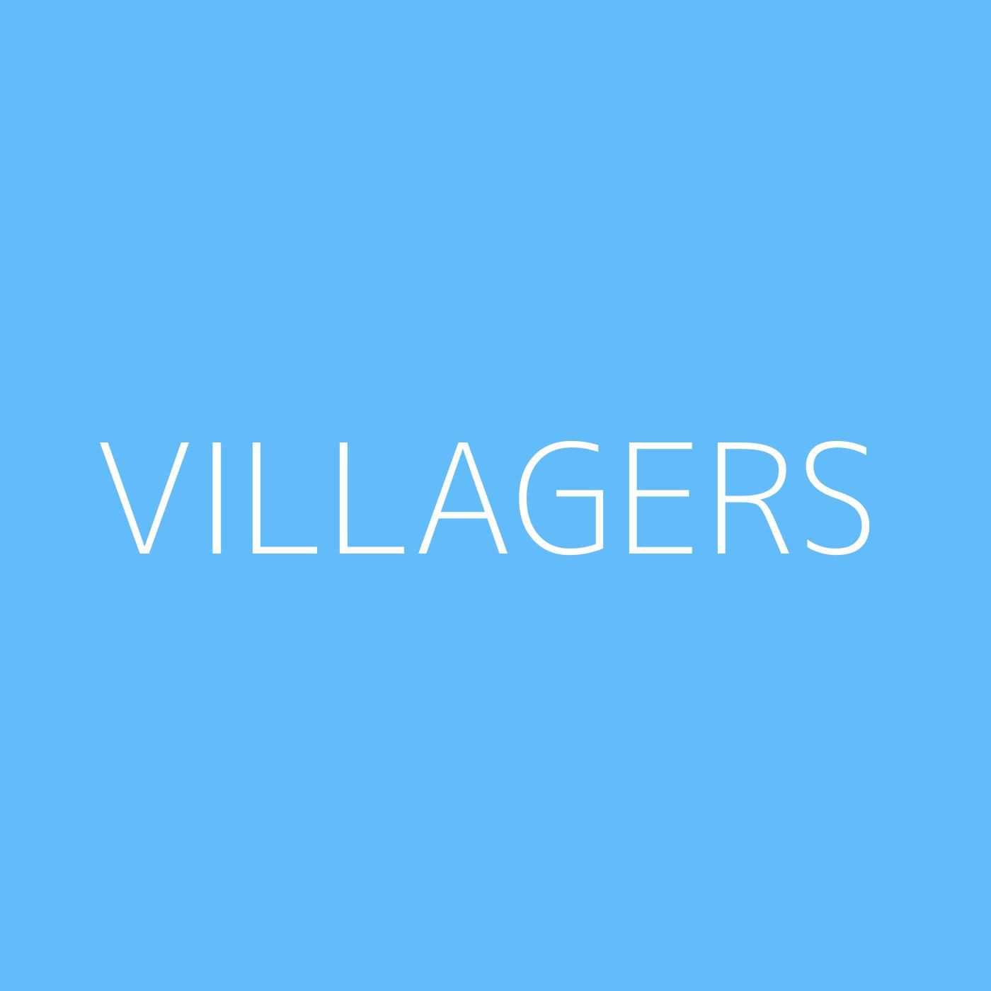 Villagers Playlist Artwork