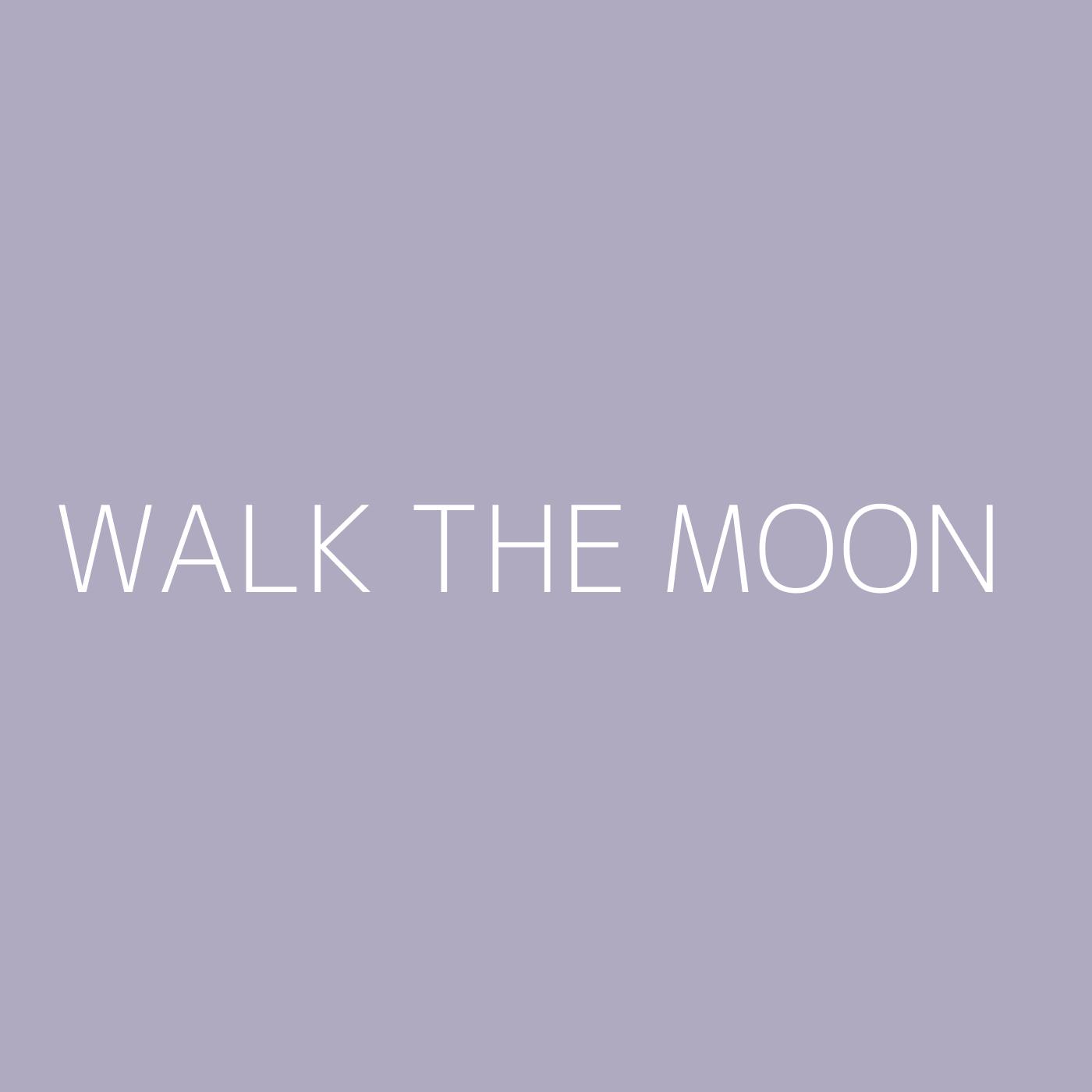 WALK THE MOON Playlist Artwork