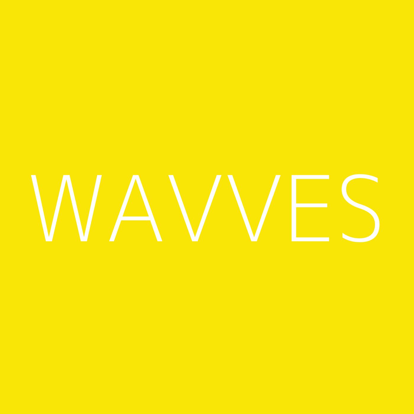 Wavves Playlist Artwork