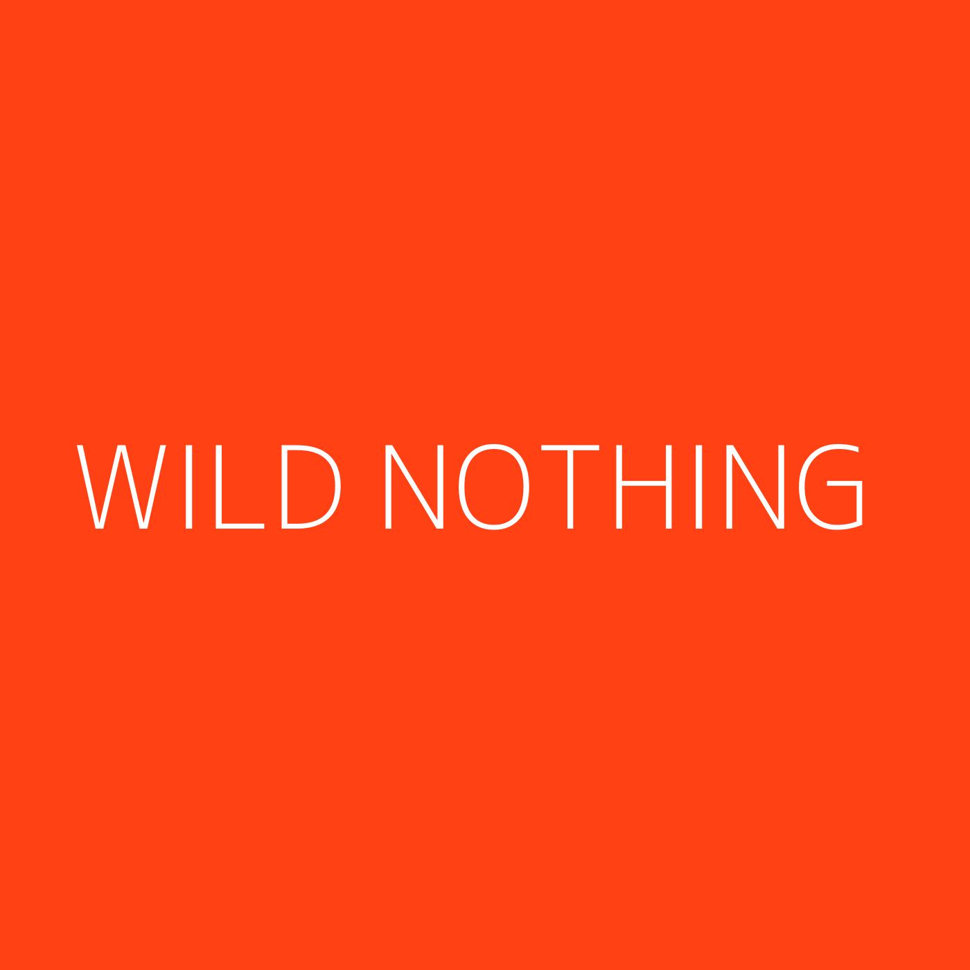 Wild Nothing Playlist Artwork