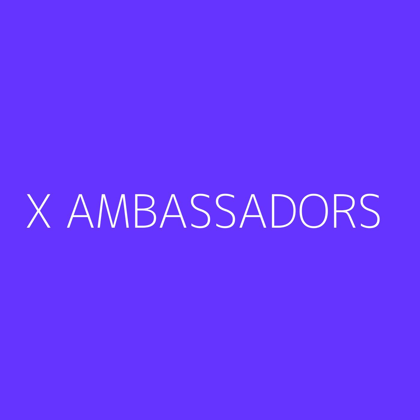 X Ambassadors Playlist Artwork